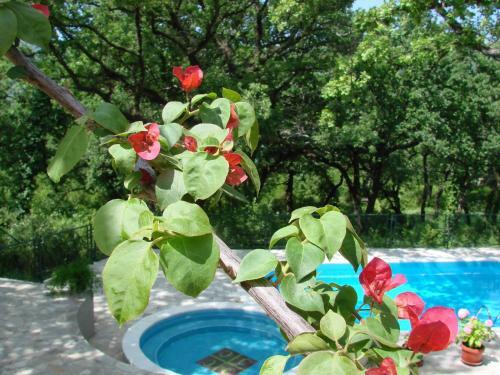 Apartments Miljan I Ranko