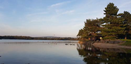 Keer Lodge - Pine Lake Resort