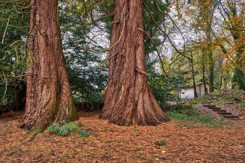 Homely 1-bed Log Cabin With Wood Burning Fire