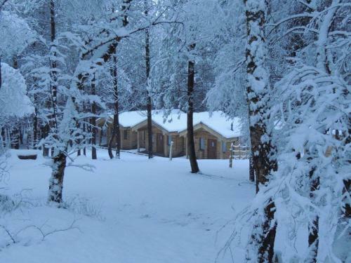 Villa Wyldwood Lodge