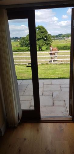Agroturismo The Barn [mews}