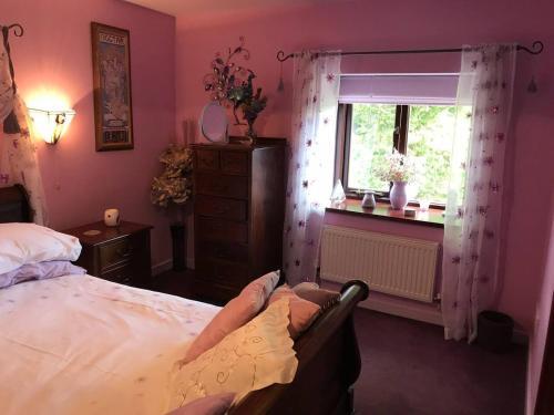 Impeccable 1-bed Cottage Near Corwen