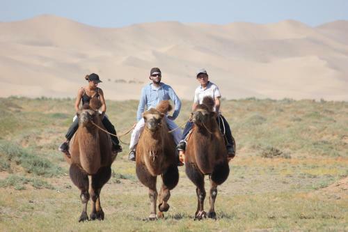 Hostal Mongolian Vision Tours Guesthouse