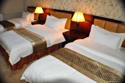 Hotel Best Western Gobi's Kelso