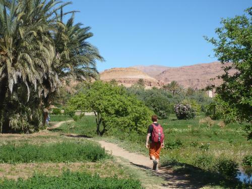 Bed & Breakfast Ecolodge Amskou