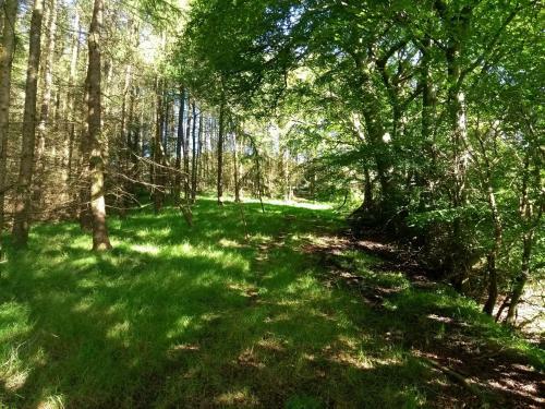 Ailsa New Luxury Lodge 15 Mins From The Beach