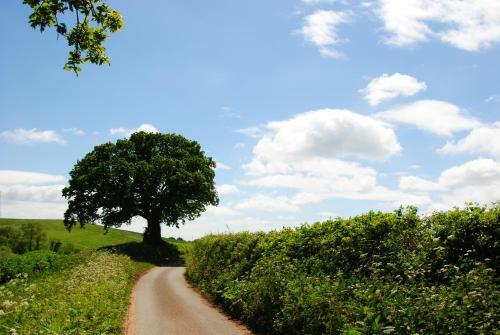 Lodge Blue Water Breaks - Dawlish Warren