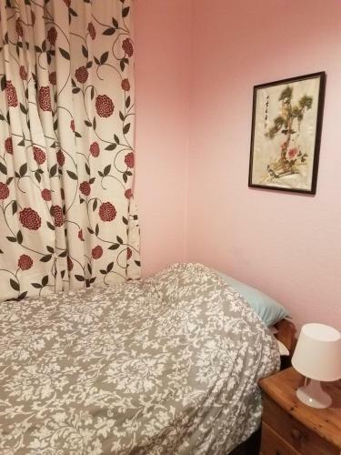 Dawlish Sea View Apartment