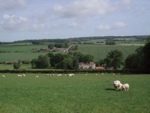 Agroturismo Marshwood Farm B&B And Shepherds Hut
