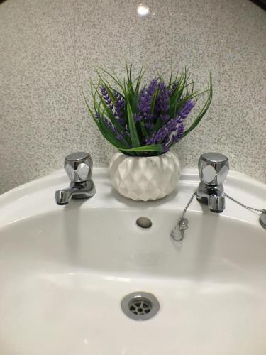 Apartamento Castle Terrace (b3 R4)