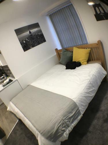 Apartamento Castle Terrace (b3 R4)