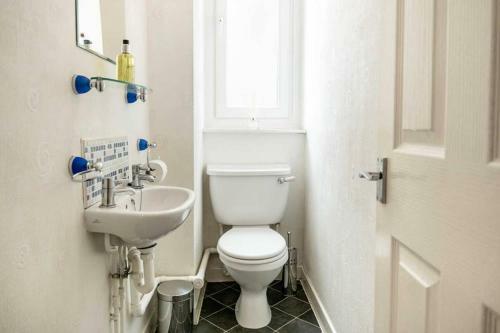 ? Central, Spacious Apartment Close To University?