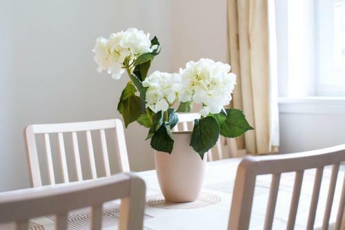 Powderhall Rigg, Canonmills Apartment