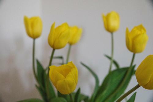 Apartamento South Groathill - Lovely 2 Bed With Castle View