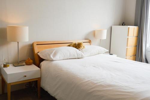 Beautiful Edinburgh Apartment In Stockbridge