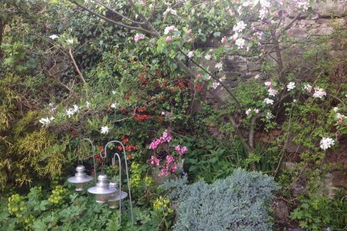 Botanic Garden Apartment Edinburgh