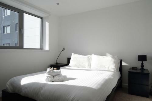 Modern Apartment In Leith With Sea Views!
