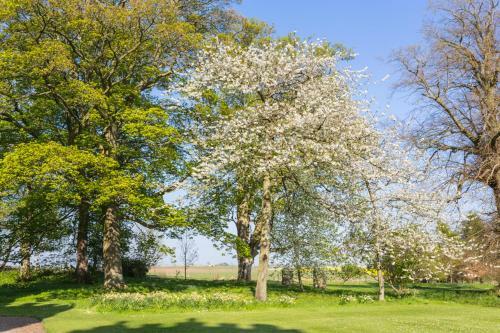 Edrom Chateau Sleeps 26 Wifi