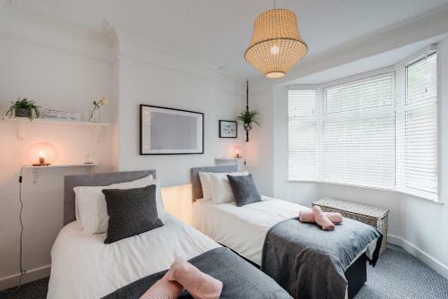 Nomi Homes - Exeter - Bookdirect - Central - Beach - Wifi