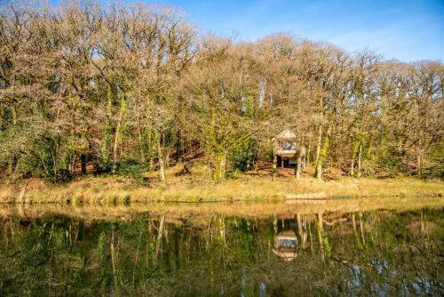 The Tree House - Eco-friendly, Back To Nature Experience