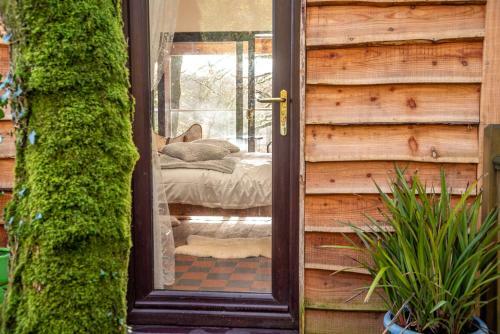 The Tree House - Eco-friendly, Back To Nature Experience
