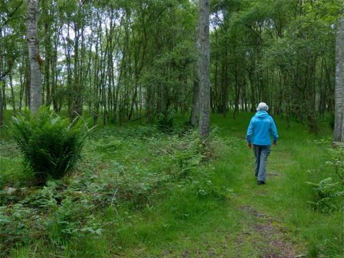 Drumshademuir Caravan & Camping Park