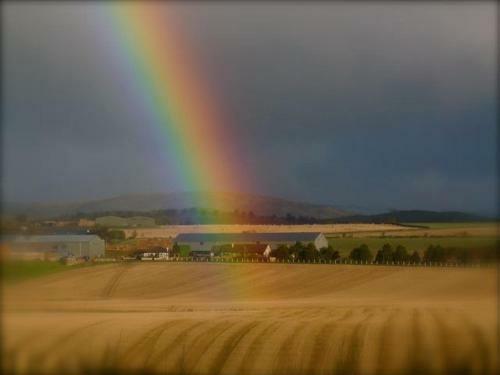Drumshademuir Caravan & Camping Park