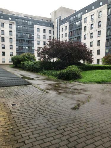 Agroturismo Wallace Budget Rooms