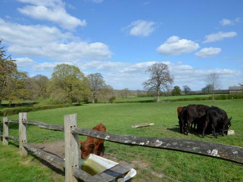 Tranquil Holiday Home In Groombridge Kent With Balcony