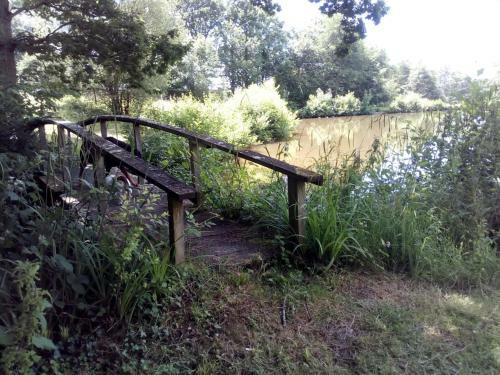Cosy & Secluded Lakeside Fisherman's Hut