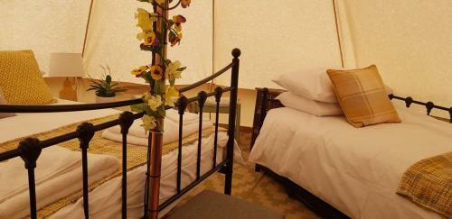 B&B Glamping Bell Tents At The Ring Pub