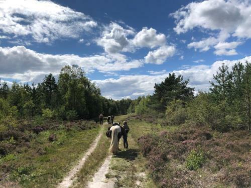 The Ancient Trails Company