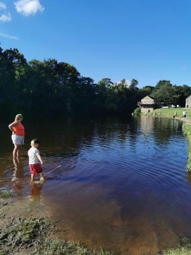 Rustling Pines At Knaresborough Lido
