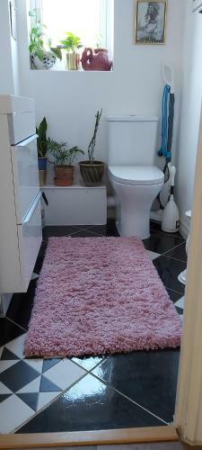 Albergue Jackie's Home