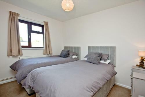 Wheal Jane, Wheal Dream Resort