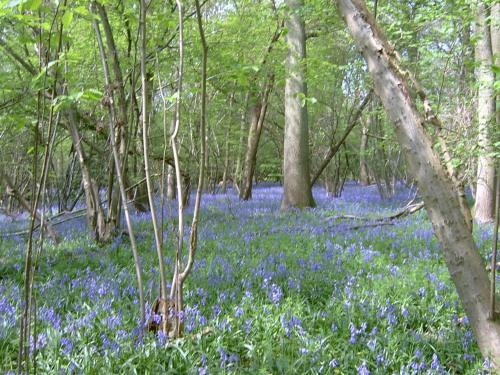 Bed & Breakfast The Barn At Woodview