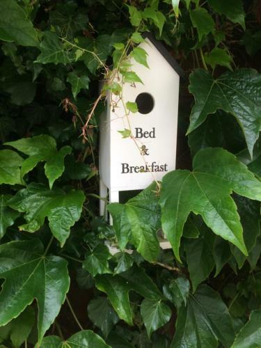 Rosebank Cottage B&B