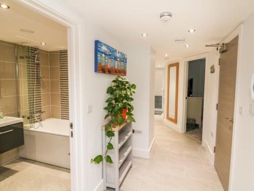 Apartamentos Arlington Villas