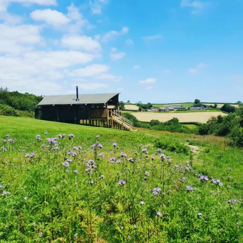 Brackenhill Glamping