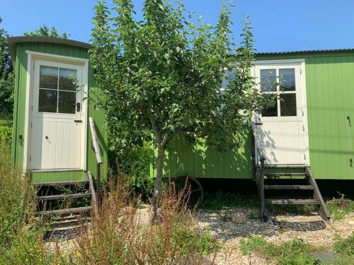 The Tregothnan Shepherds Hut