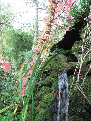 Apartamento Drumlins Cottage