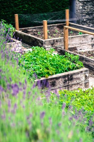 Hotel The Punch Bowl Inn