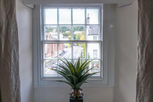 Library View Apartment