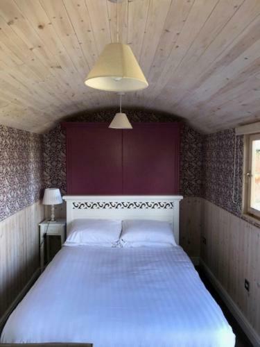 Shepherd's Hut - Walled Gardens Llandenny