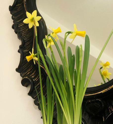 Apartamento Greys House - A Warm Welcome To The Brecon Beacons