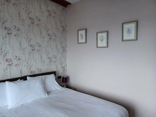 Bed & Breakfast Albany House