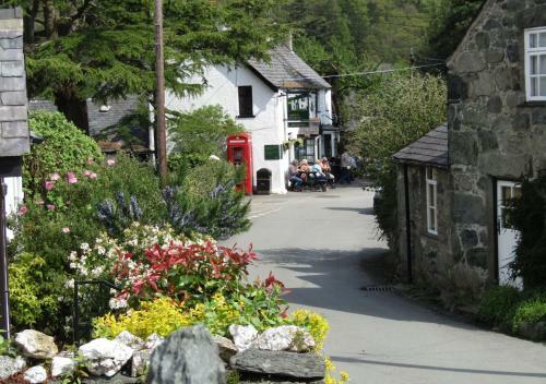 Cae Mawr
