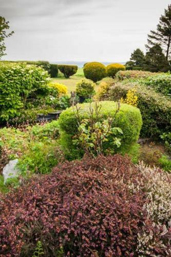 Apartamento Studio At Min Yr Awel