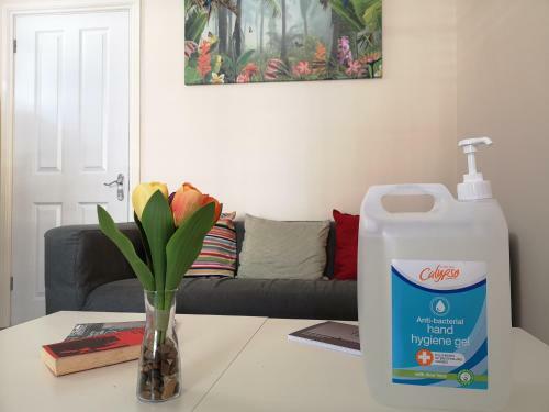 Park Villa Boutique Hostel