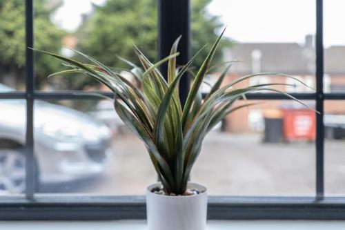 Serviced Apartments Luton - Central Boutique Studio By Opulent Living